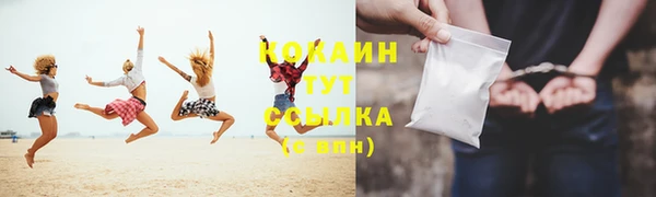 мяу мяу кристалл Няндома