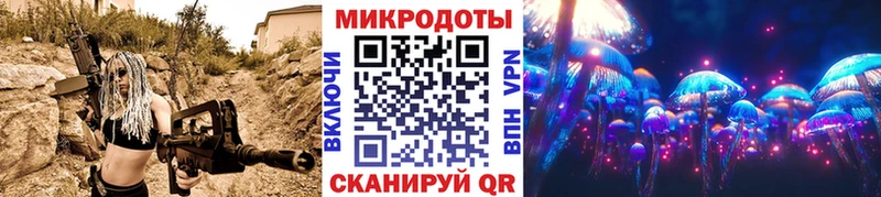 blacksprut зеркало Нелидово Псилоцибиновые грибы Psilocybe даркнет сайт